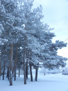 зимние сумерки