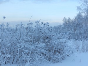 зимние сумерки