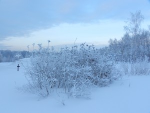 зимние сумерки