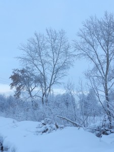 зимние сумерки