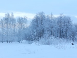 зимние сумерки