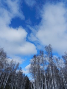 бездонное синее зимнее небо
