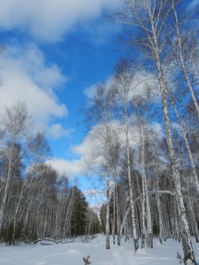 зимнее яркое небо