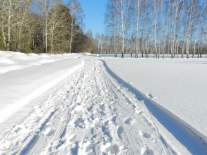 дорога в снегу