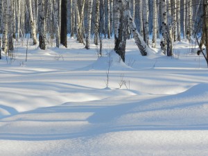 лабиринт теней на снегу